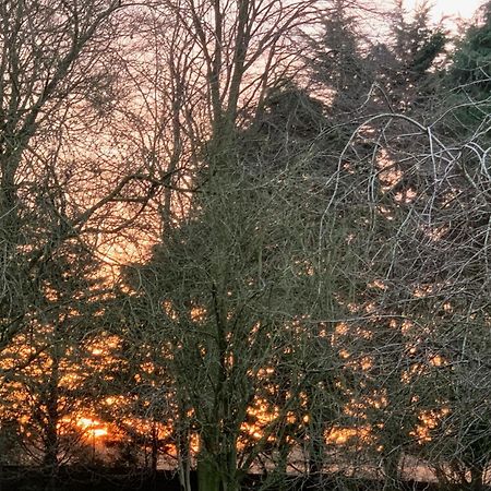 Aldercarr Hall Great Ellingham Esterno foto