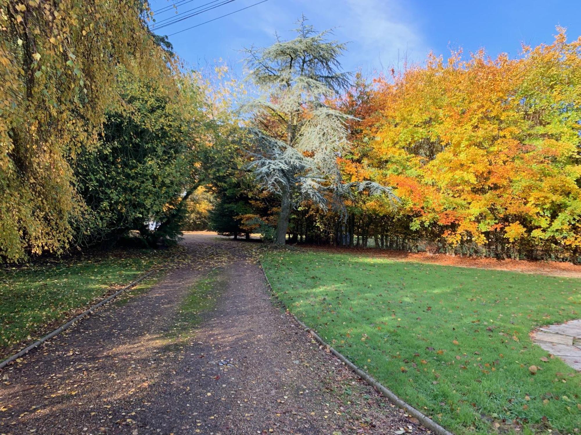 Aldercarr Hall Great Ellingham Esterno foto